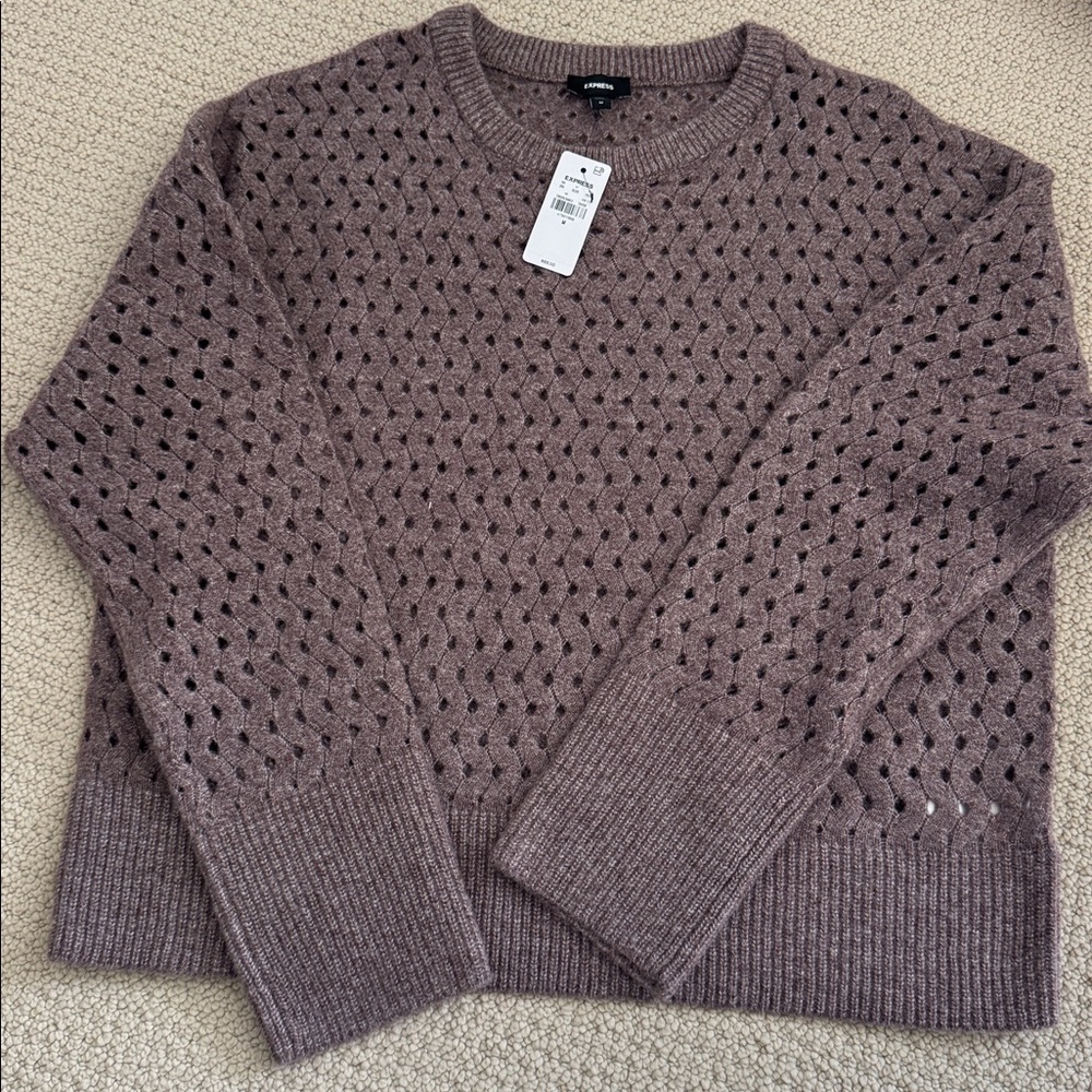NWT-Express Purple Knit Sweater